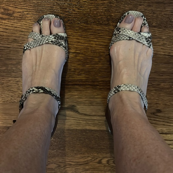 Pedro Garcia python sandals size 38.5 - Picture 2 of 8
